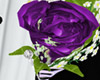 ** Purple Lapel Rose