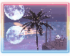 Palm Lights