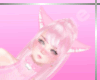 [T] Sweet Cat in Pink