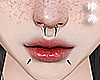 ゆみ Septum + Bite