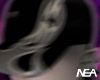 Cap Fire D./NS