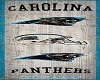 Carolina Panther Welcome