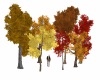 Autumn/Fall trees