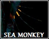 Sea Monkey Left ArmSpike