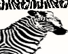 rug zebra
