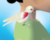 [Nal] White Parakeet