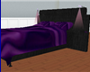 CAN Blk/Purple Bed