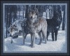 Wolf Pack WH