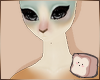 ⊹ Jay Fur F