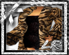 (RN)tiger coat with dr
