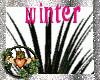 ~QI~WinterNightz Plant P