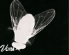 Flies
