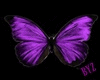 Anim Butterfly Cutout
