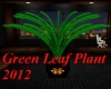 Green Leaf Plant 2012