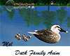 Duck Family Animated
