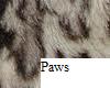 Snow leoperd paws (F)