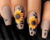 ND| Sunflowerss