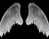 Grey Archangel Wings