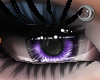 Violet Queen Eyes