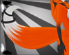 orange fox tail v2