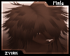 Z; Kuw Hair M V8
