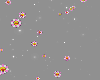 flowers + sparkles 2