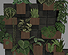 Modern Wall Plants