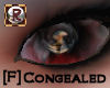 Congealed Eyes (f)