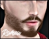 Beard Realistic Brown MH