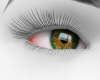 Venjii Green Eye