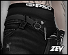 z le shorts