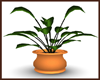 Sierra Potted Plant V2