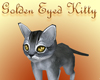 }T{Golden eyed kitty