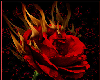 Flaming Rose Rug