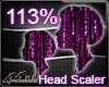 Max- Head Scaler 113% -F