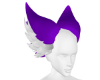 Purple ears fox 2