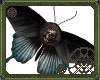 🦋 Moths Eye Mirror