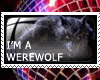 I´m a Werewolf