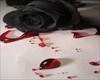 black bloody rose