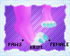 ꨄStacy Pawsꨄ