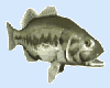 Animated Large MouthBass