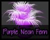 {EL} Purple Neon Fern