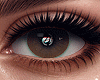 金 Hazelnut Eyes F