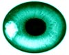 (WL) GreenBlue Eyes