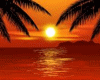 Island Romantic