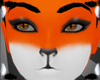 orange fox fur F