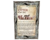 Otter animal traits
