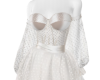 White Sheer Gown