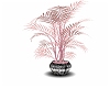 pink plant-black pot