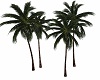Beach Resort Palms V3